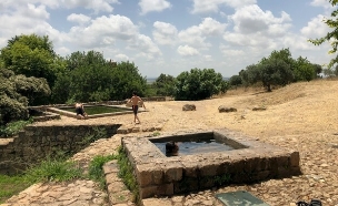 מעיין עין צור (צילום: מירב טלמור-קשי)