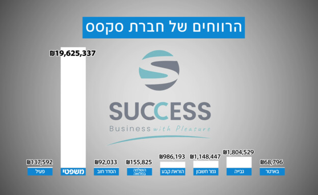 הרווחים של חברת סקסס