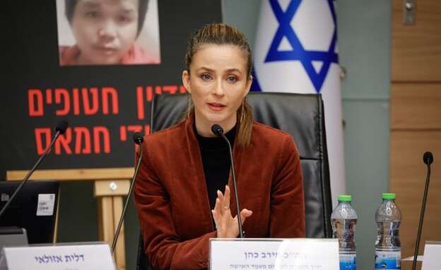 ח"כ מירב כהן בדיון בוועדה לקידום מעמד האישה