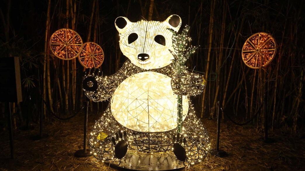 פסטיבל האור אילומינשיין פסטיבל האור אילומינשיין