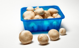 פטריות בקופסה (צילום: Shutterstock)