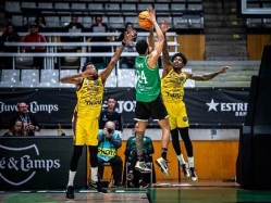 (FIBA) (צילום: ספורט 5)