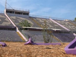 sportFive1631563 (צילום: ספורט 5)