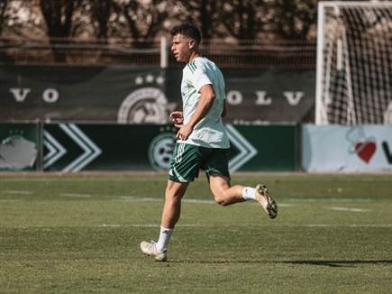 (האתר הרשמי של מכבי חיפה) (צילום: ספורט 5)