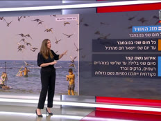 20mezeg_vtr2_n20251122_v1 (צילום: חדשות)