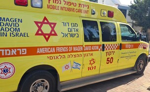 נקבע מותו של גבר שנפגע מעץ במהלך עבודות גיזום (צילום: תיעוד מבצעי מד"א)