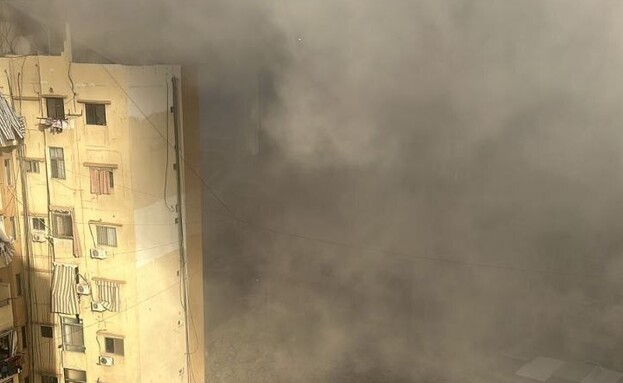 תקיפה בדאחיה בלבנון