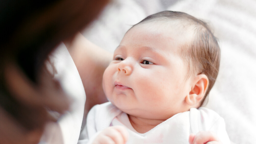 מטפלת לילה, אילוסטרציה