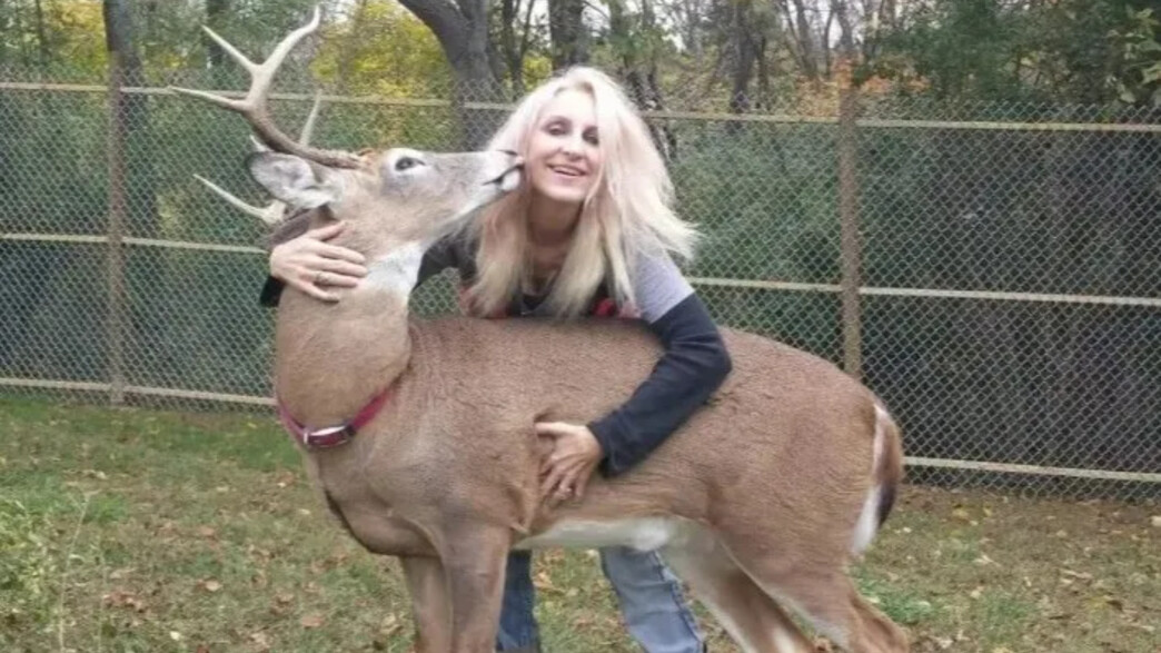 ג'ודי פרוגר