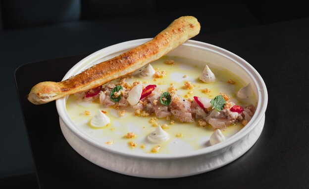 טרסה חדשה בחיפה. מסעדת טרסה