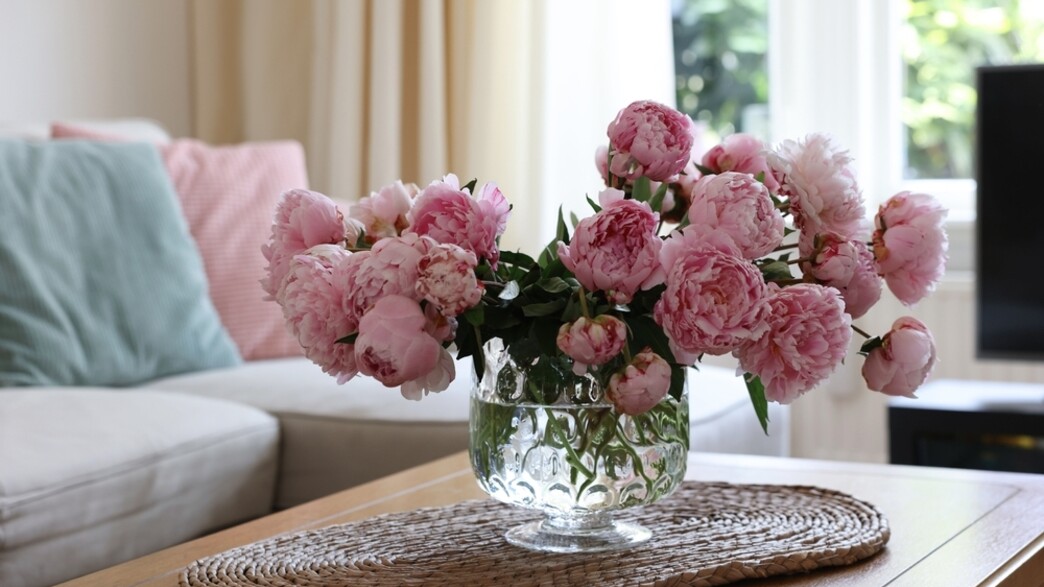 פרחים באגרטל בסלון פרחים באגרטל בסלון