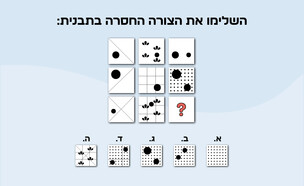 חידת הצורה החסרה (איור: הפרופסור הלא המפוזר)