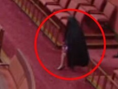 סערה באוסטרליה: מנהיגת הימין לבשה בורקה בפרלמנט