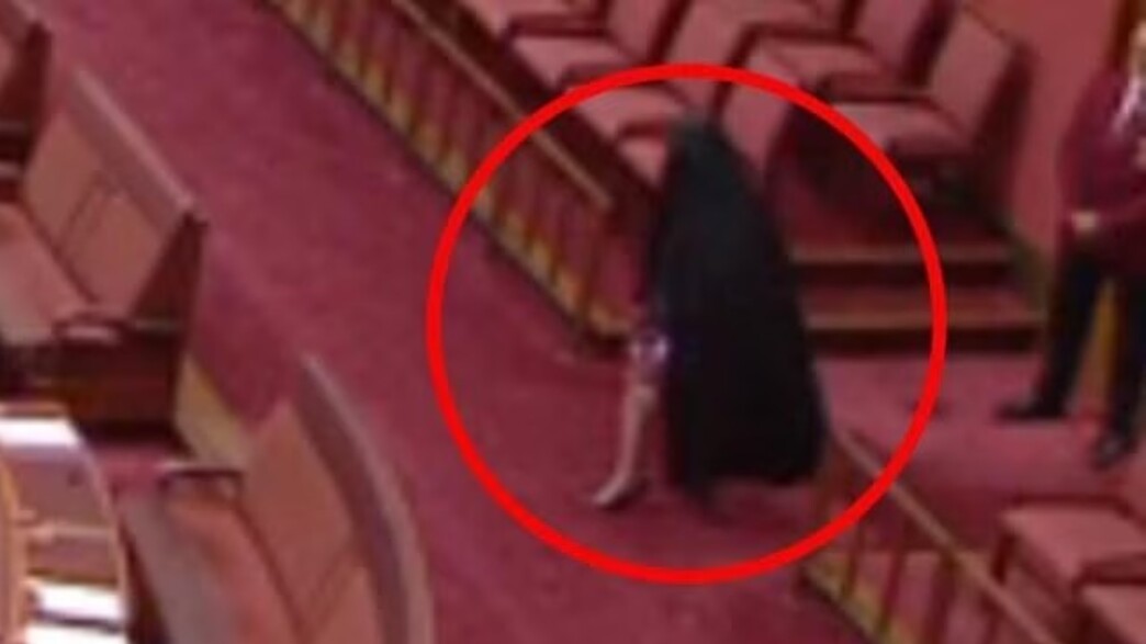 מנהיגת הימין באוסטרליה פולין הנסון עם בורקה בסנאט מנהיגת הימין באוסטרליה פולין הנסון עם בורקה בסנאט