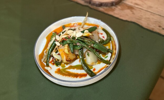 סיזן 02. פרדס חנה. קולורבי מפוחם סיזן 02. פרדס חנה. קולורבי מפוחם