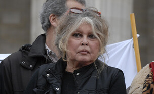 בריז'יט בארדו  (צילום: John van Hasselt | Corbis via Getty Images)