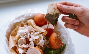 תיון (צילום: shutterstock_larisa_Stefanjuk)