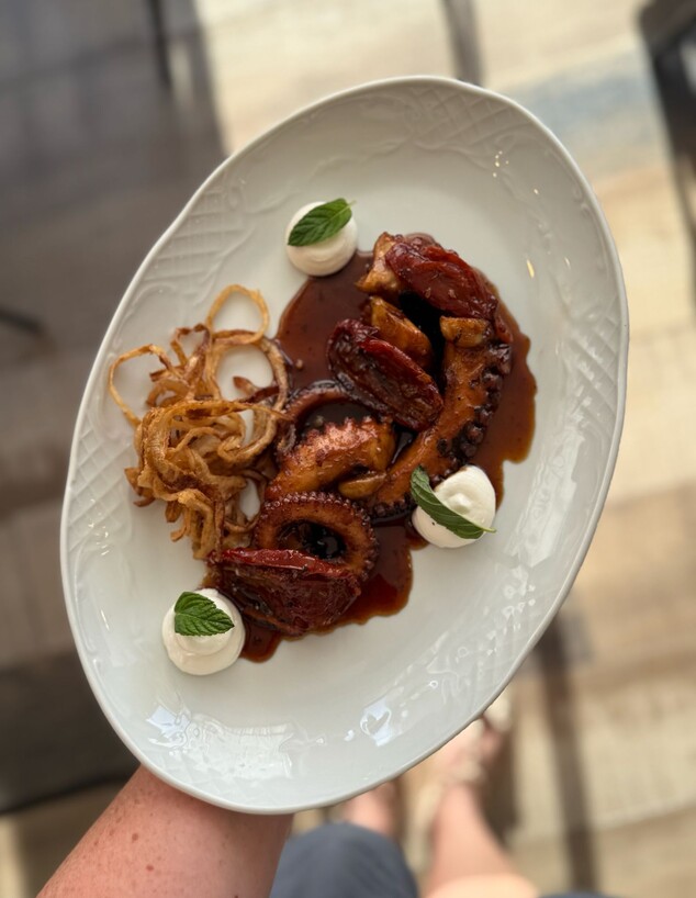 תמנון מאשווי. מיג'אנה תמנון מאשווי. מיג'אנה