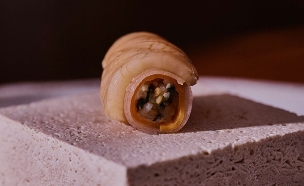 תפריט חדש ב-R48 Chef’s Table (צילום: דן פרץ, יחסי ציבור)