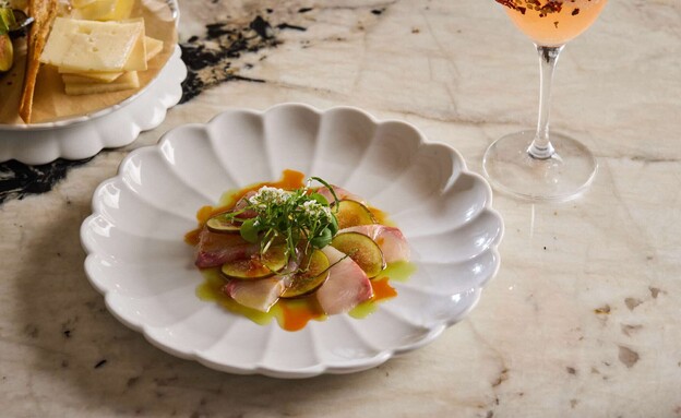 O החדשה של תומר אגאי O החדשה של תומר אגאי