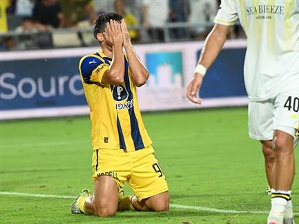 (ברני ארדוב)