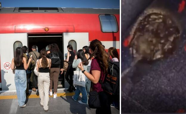 השתין ברכבת ישראל (צילום: 27 א')