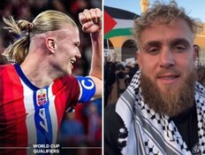 "עליית מדרגה מסוכנת": קמפיין ההתחזות הפרו-פלסטיני