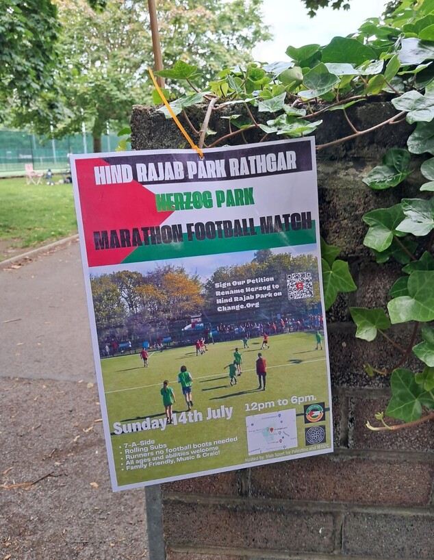 השלטים הפרו-פלסטיניים בדבלין