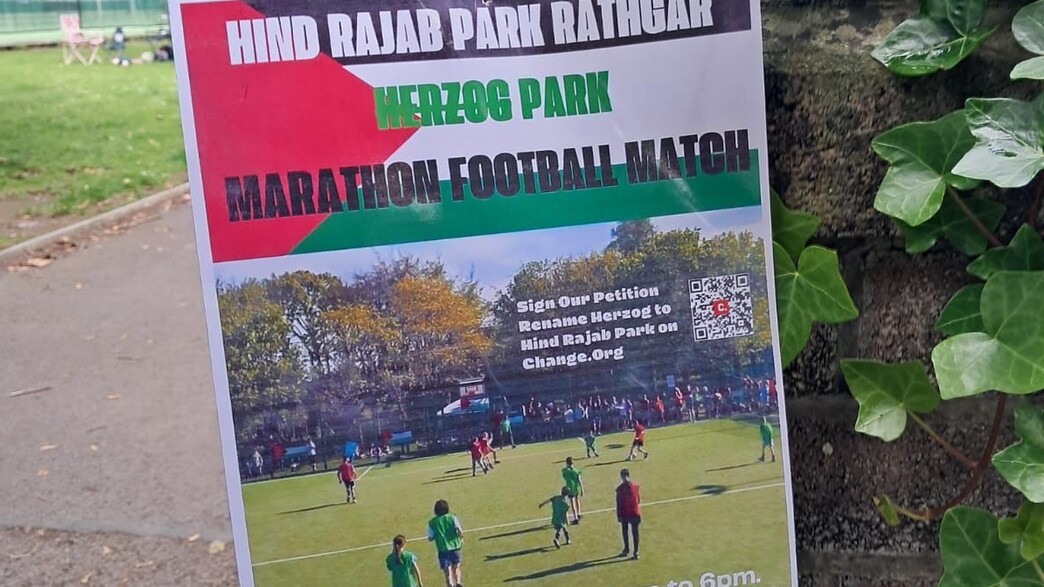 השלטים הפרו-פלסטיניים בדבלין