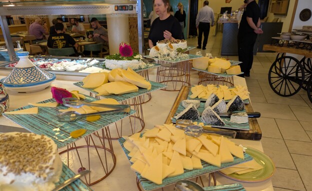 ארוחת בוקר גבינות אואזיס ים המלח פרימה ארוחת בוקר גבינות אואזיס ים המלח פרימה