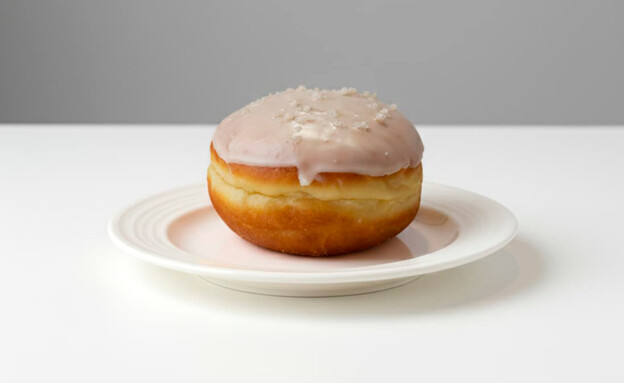 סופגניות 2025 טלביה