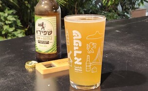 בירת אגסים – מבשלת שפירא (צילום: גיא רייט)