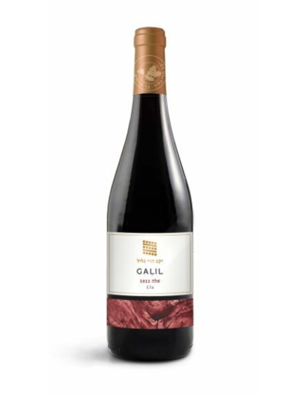 גליל אלה 2023