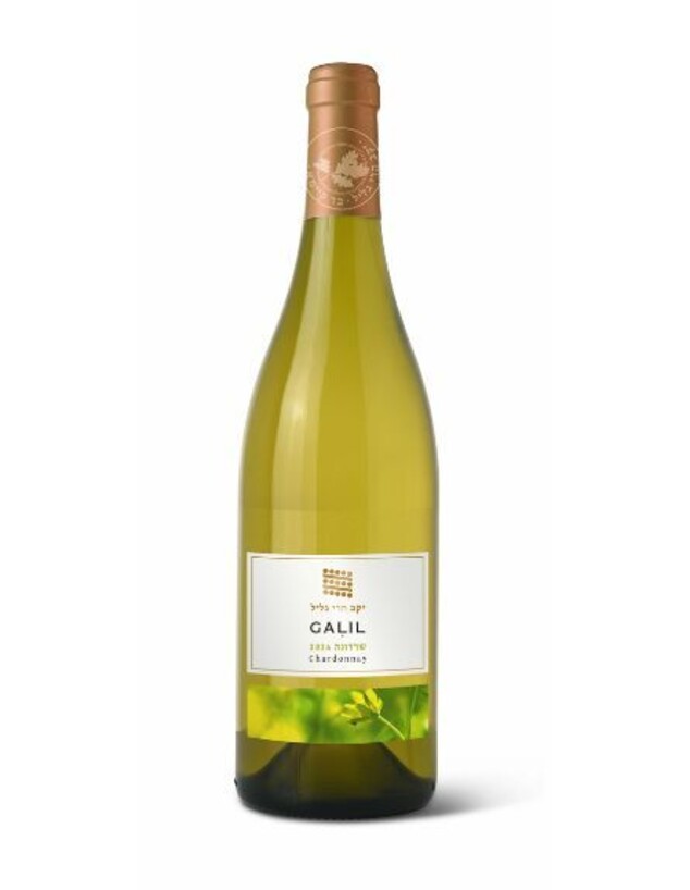 גליל שרדונה 2024