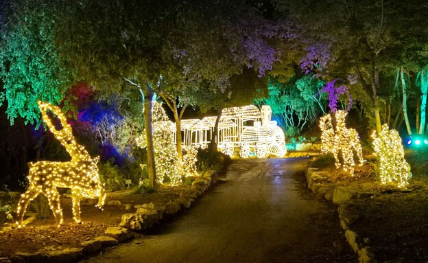 ווינטר דרימס ווינטר דרימס