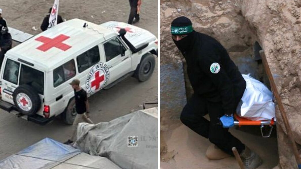 החיפושים עם הצלב האדום בעזה