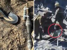 חלק מתוך המחבלים שנלכדו בכיס רפיח 