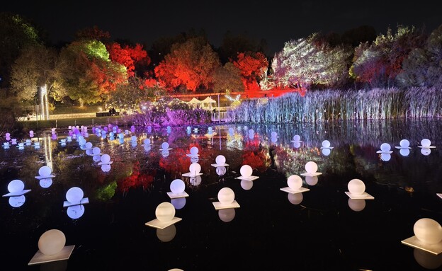 ווינטר דרימס ווינטר דרימס