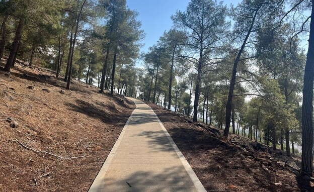 השביל הנגיש גבעת המורה