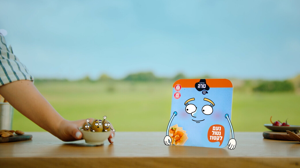 קקטוס 2.12 קקטוס 2.12