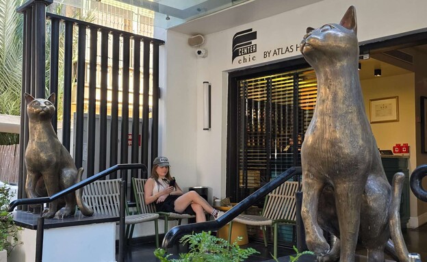 סנטר שיק סנטר שיק