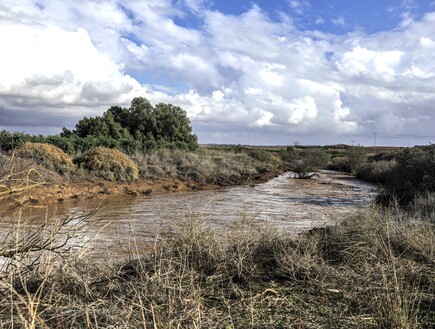 סתיו עכשיו: התקררות ברחבי הארץ וחשש לשיטפונות בדרום ובמזרח