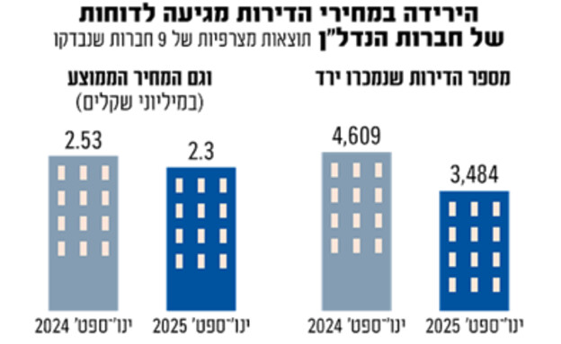 אינפו דירות גלובס