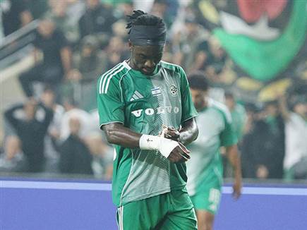 (מאור אלקסלסי) (מאור אלקסלסי)