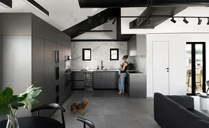 בית בתל אביב, עיצוב איתן כהן (צילום: גדעון לוין)