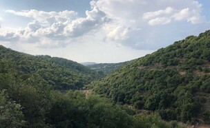 שמורת טבע הר מירון נוף (צילום: מירב טלמור-קשי)