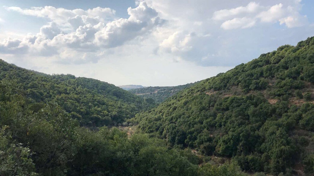 שמורת טבע הר מירון נוף שמורת טבע הר מירון נוף