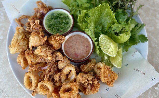 מנת קלמרי מטוגנים. קולינה 