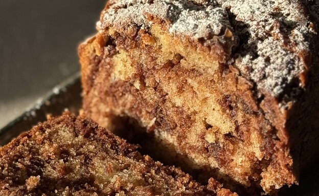 עוגת שיש נוטלה רכה רכה (צילום: קרן אגם)