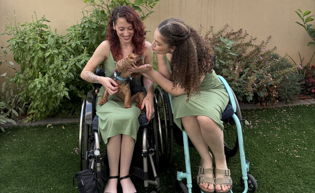 עדי שניידר, שחר זהבי עדי שניידר, שחר זהבי